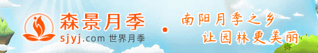 月季网 月季网