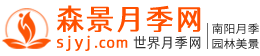 森景月季网 森景月季网